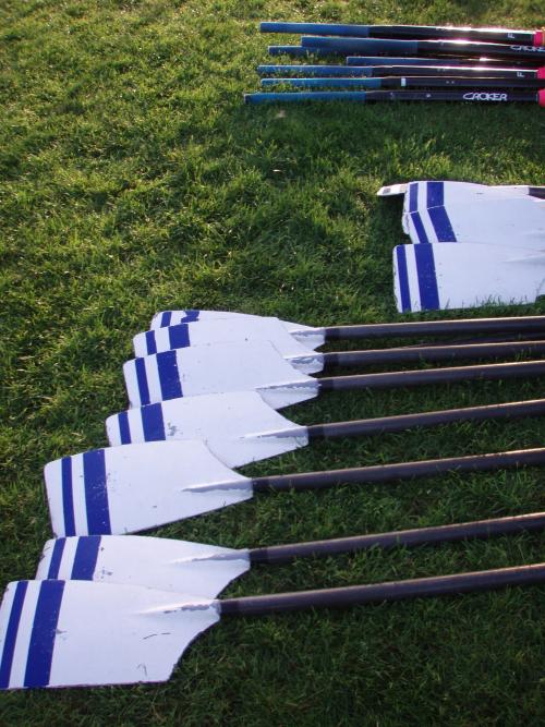 MB Oars.JPG